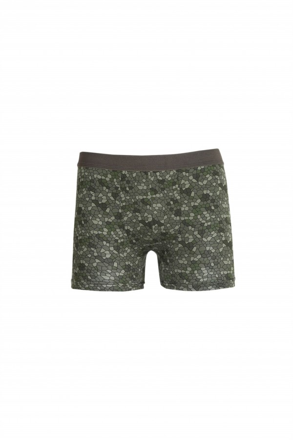 moda çizgi Erkek Desenli Boxer 40110
