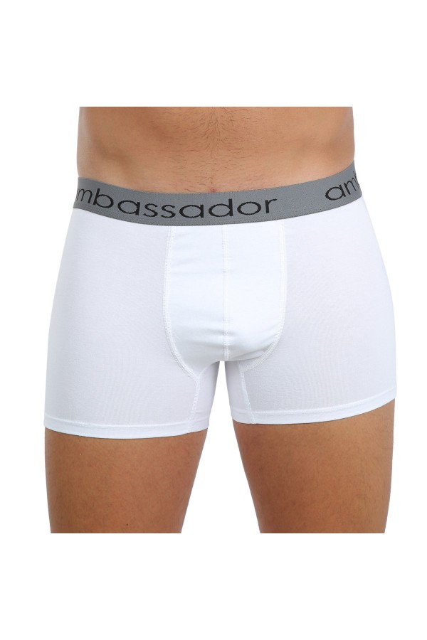 moda çizgi Erkek Likralı Boxer 40053