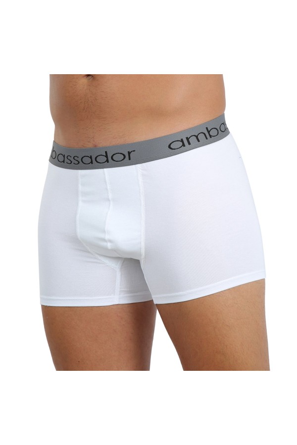 moda çizgi Erkek Likralı Boxer 40053