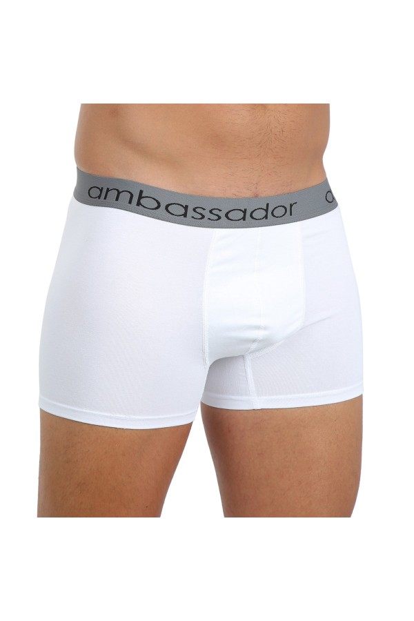 moda çizgi Erkek Likralı Boxer 40053