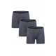 Moda Çizgi Kadın Penye 3lü Boxer Füme 40260
