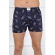 Moda Çizgi Erkek Penye Boxer 40082