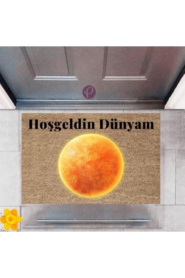 Kapı Önü Paspası Dekoratif Dijital Baskı Dünya P-2436