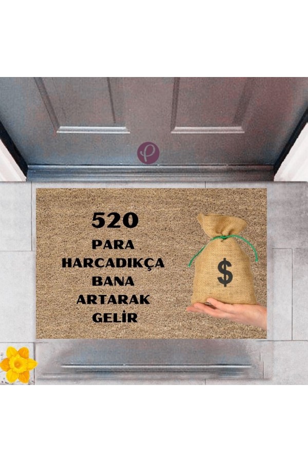 Kapı Önü Paspası Dekoratif Dijital Baskı 520 Para P-2477