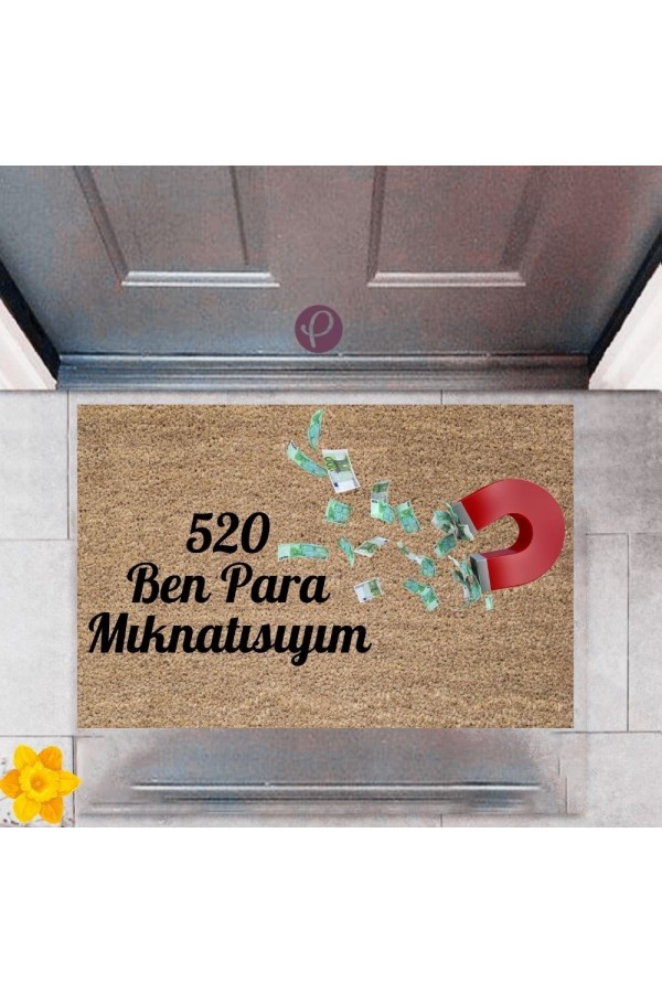 Kapı Önü Paspası Dekoratif Dijital Baskı 520 Para P-2482