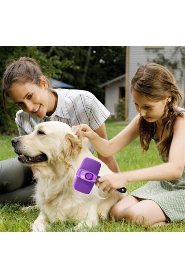 BUFFER®  Otomatik Temizlenebilen Tuşlu Pratik Kedi Köpek Tüy Toplama Fırçası
