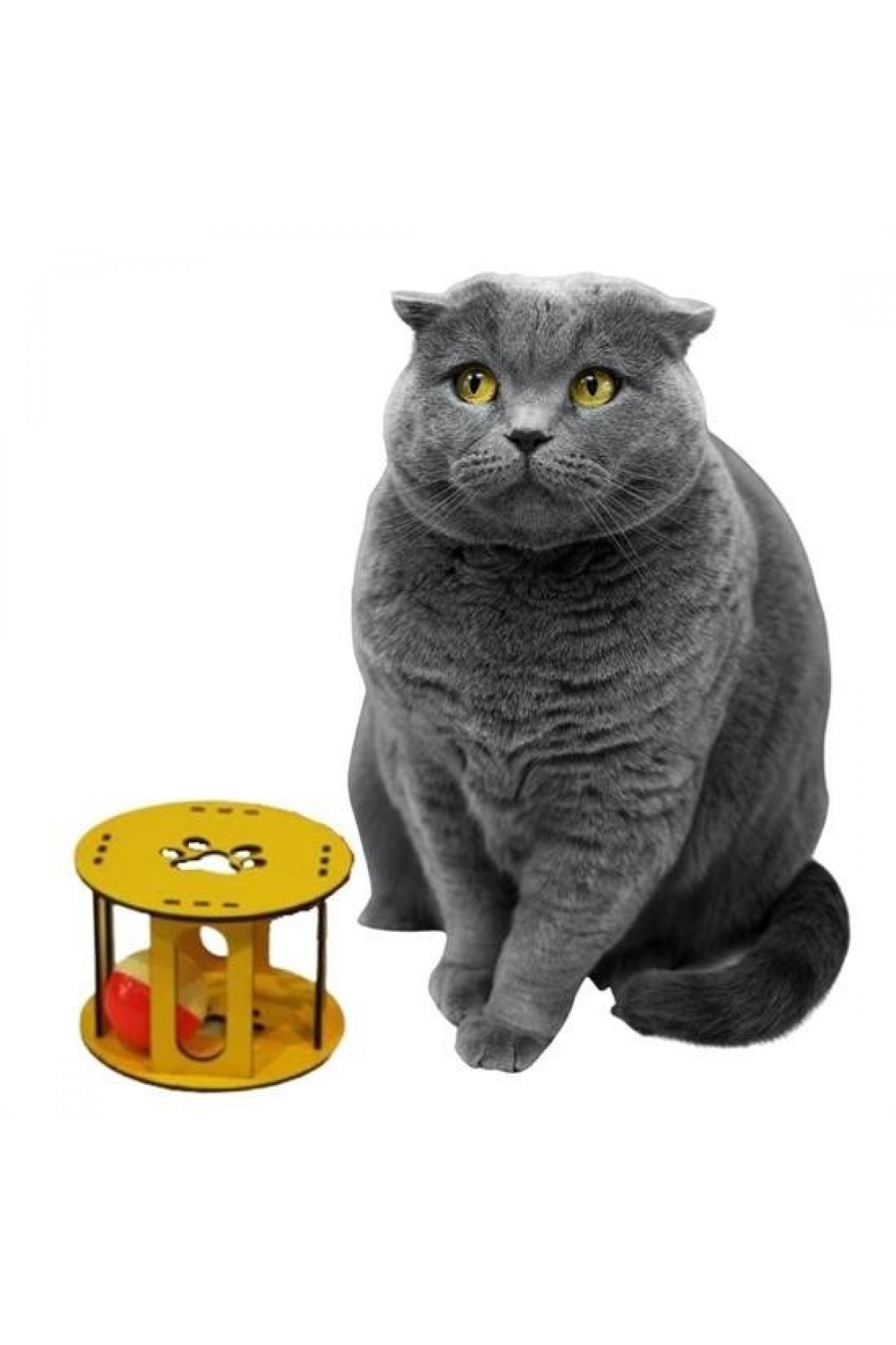 BUFFER® Ahşap Kafes Renkli Toplu Kedi Patisi Desenli Sesli Kedi Oyuncağı