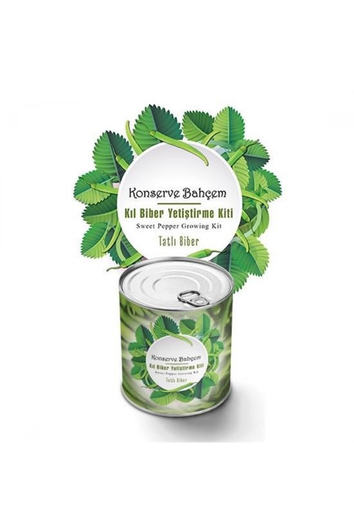 BUFFER® Konserve Bahçem Evde Konservede Tatlı Sivri Biber Yetiştirme Kiti