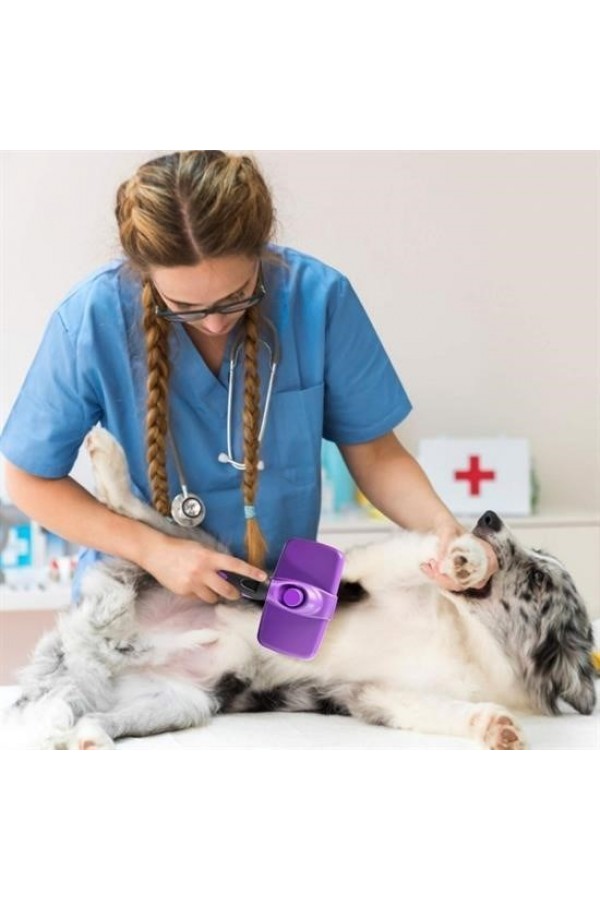 BUFFER®  Otomatik Temizlenebilen Tuşlu Pratik Kedi Köpek Tüy Toplama Fırçası